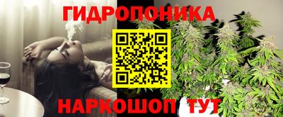 mdpv Дубна