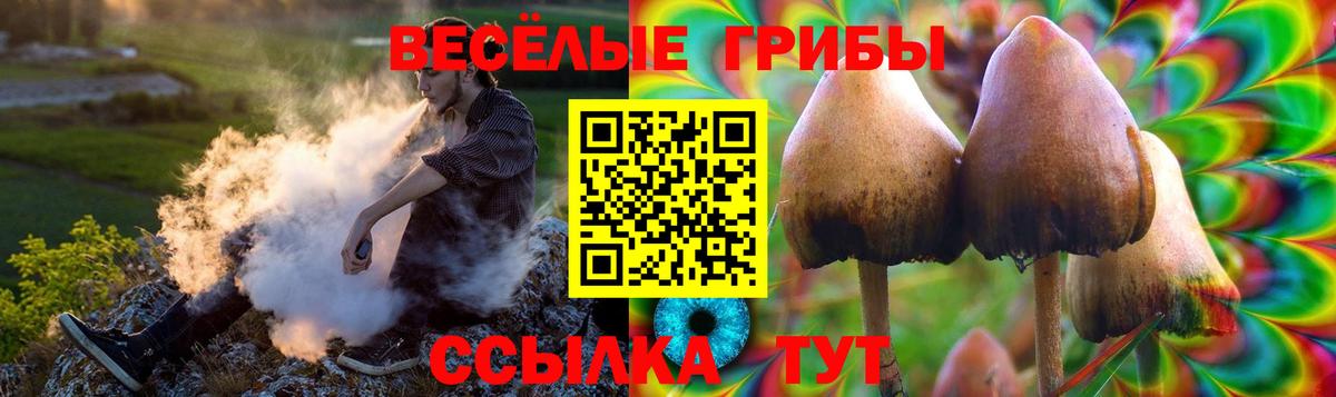 Кудымкар  Псилоцибиновые грибы MAGIC MUSHROOMS  Вход с VPN 
